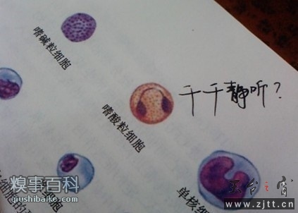 0wzyk87ttu6821 (64).jpg