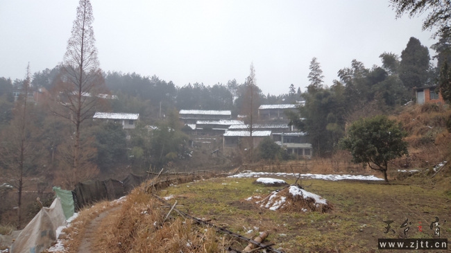 nEO_IMG_DSC00205.jpg