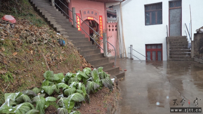 nEO_IMG_DSC00212.jpg
