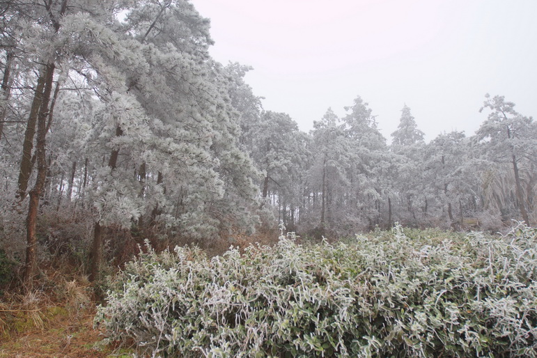 IMG_0068_调整大小.jpg
