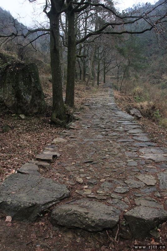 照片 195_副本.jpg