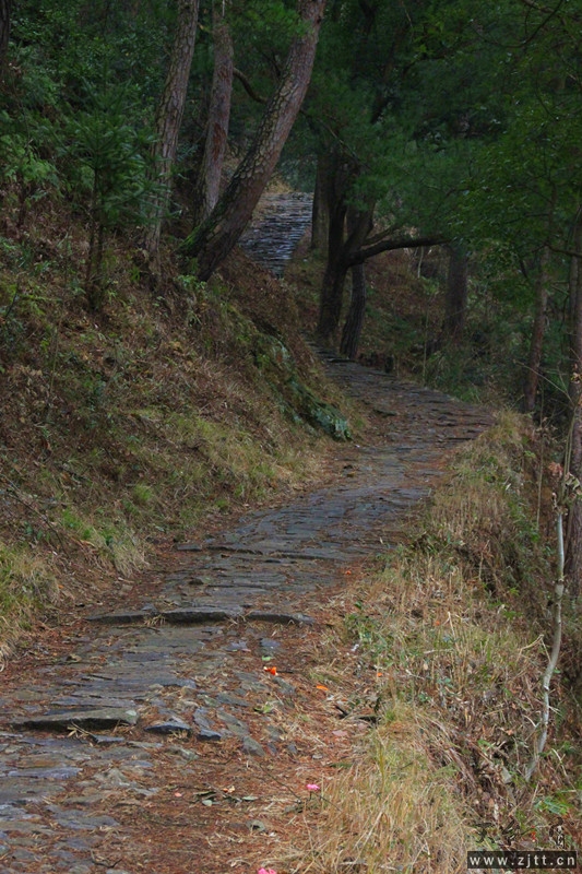 照片 198_副本.jpg