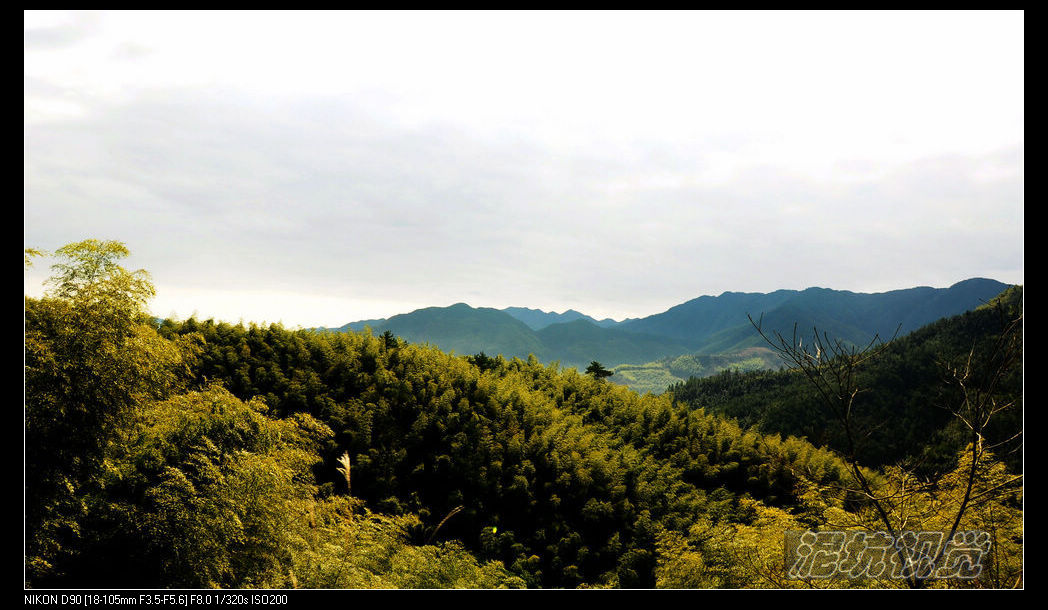 DSC_0024.jpg