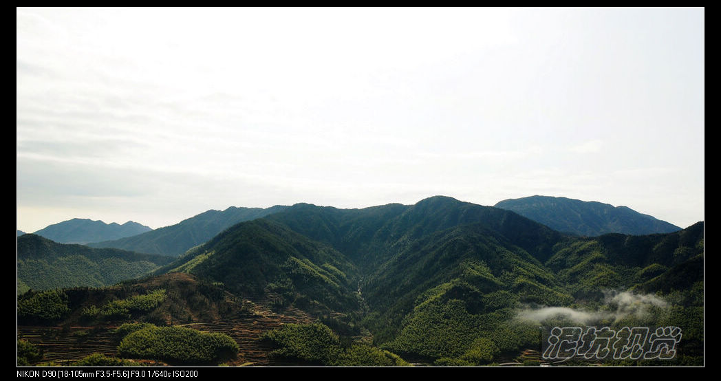 DSC_0051.jpg
