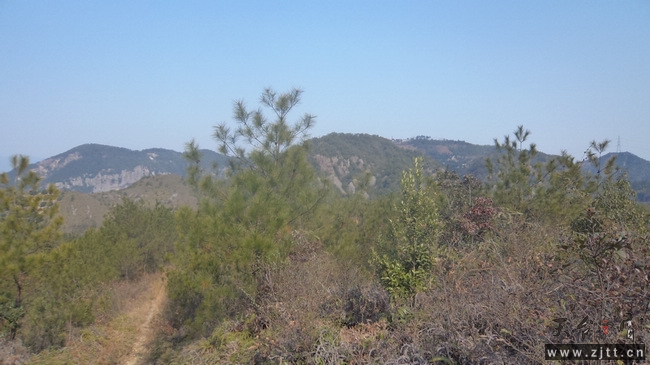 nEO_IMG_DSC00477.jpg