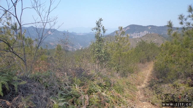 nEO_IMG_DSC00478.jpg