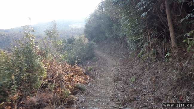 nEO_IMG_DSC00481.jpg