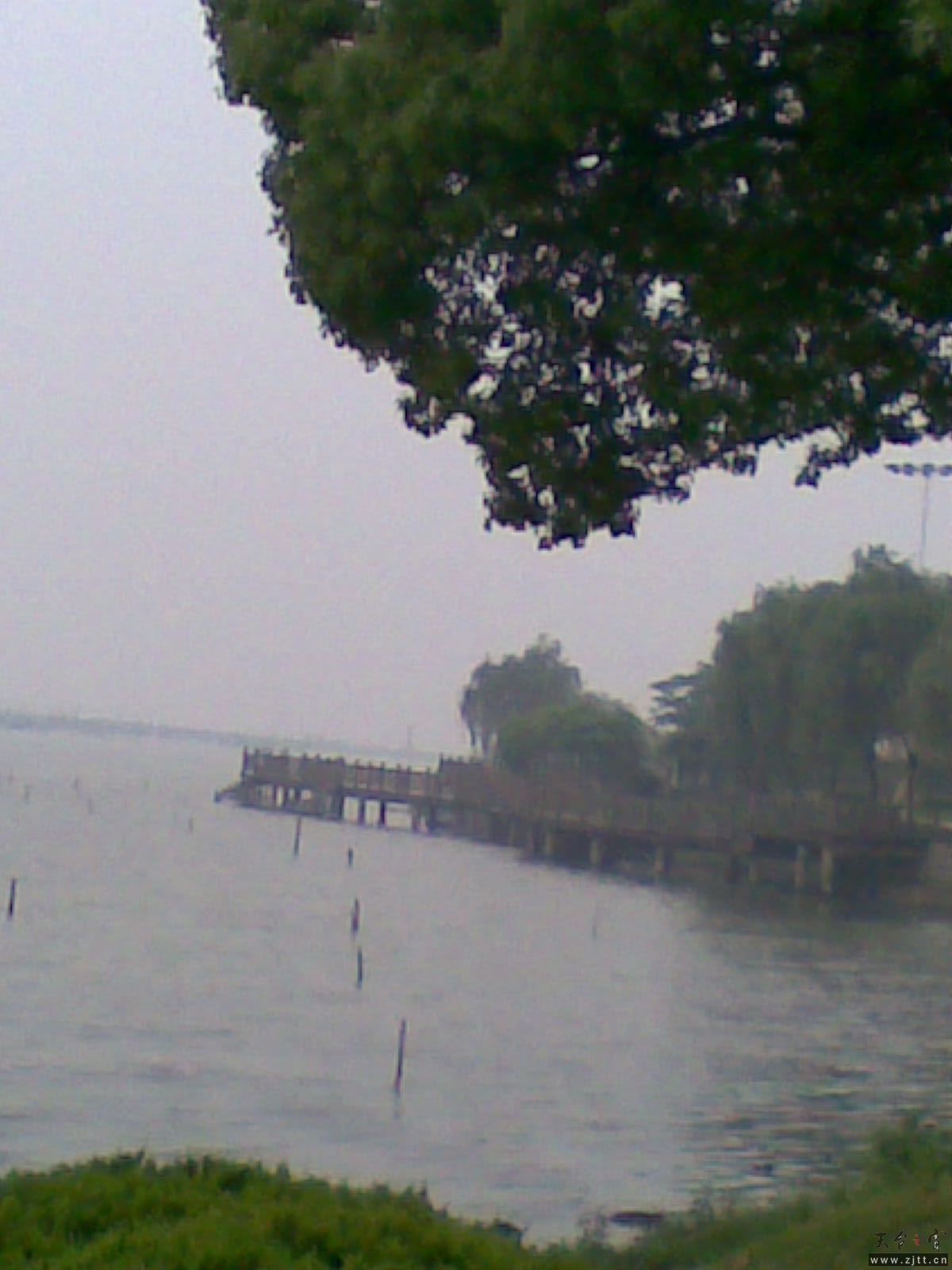 20110601_003.jpg