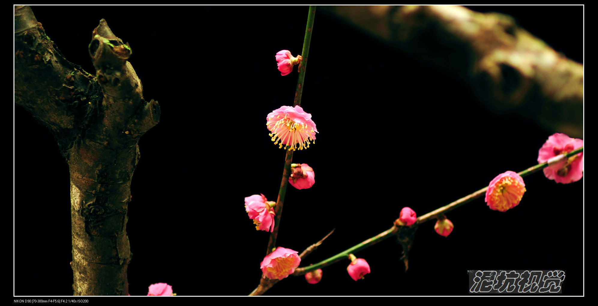 DSC_0034.jpg