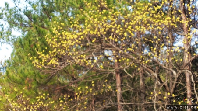 nEO_IMG_DSC00567.jpg