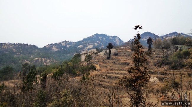 nEO_IMG_DSC00577.jpg