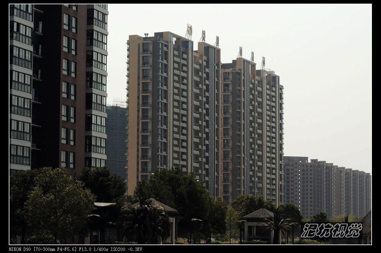 DSC_0111.jpg