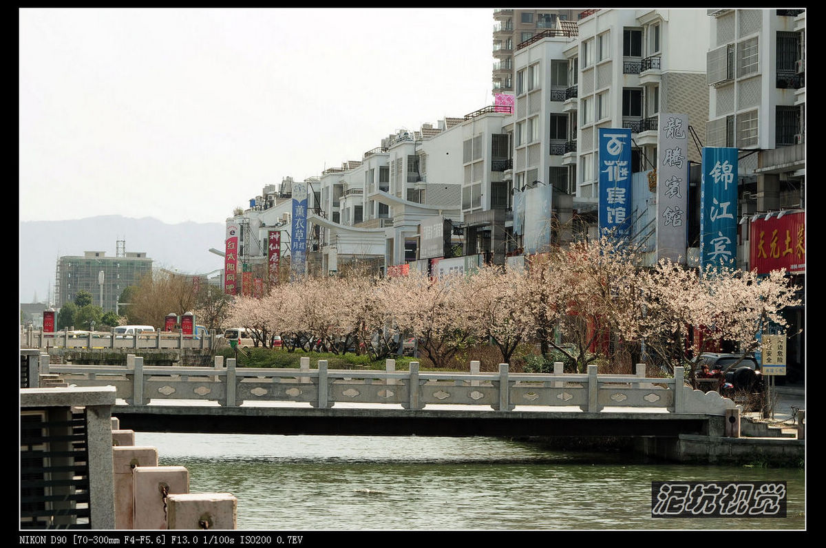 DSC_0113.jpg