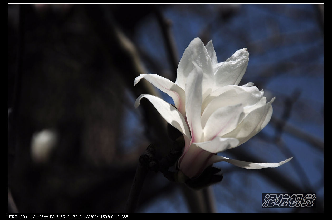 DSC_0040.jpg