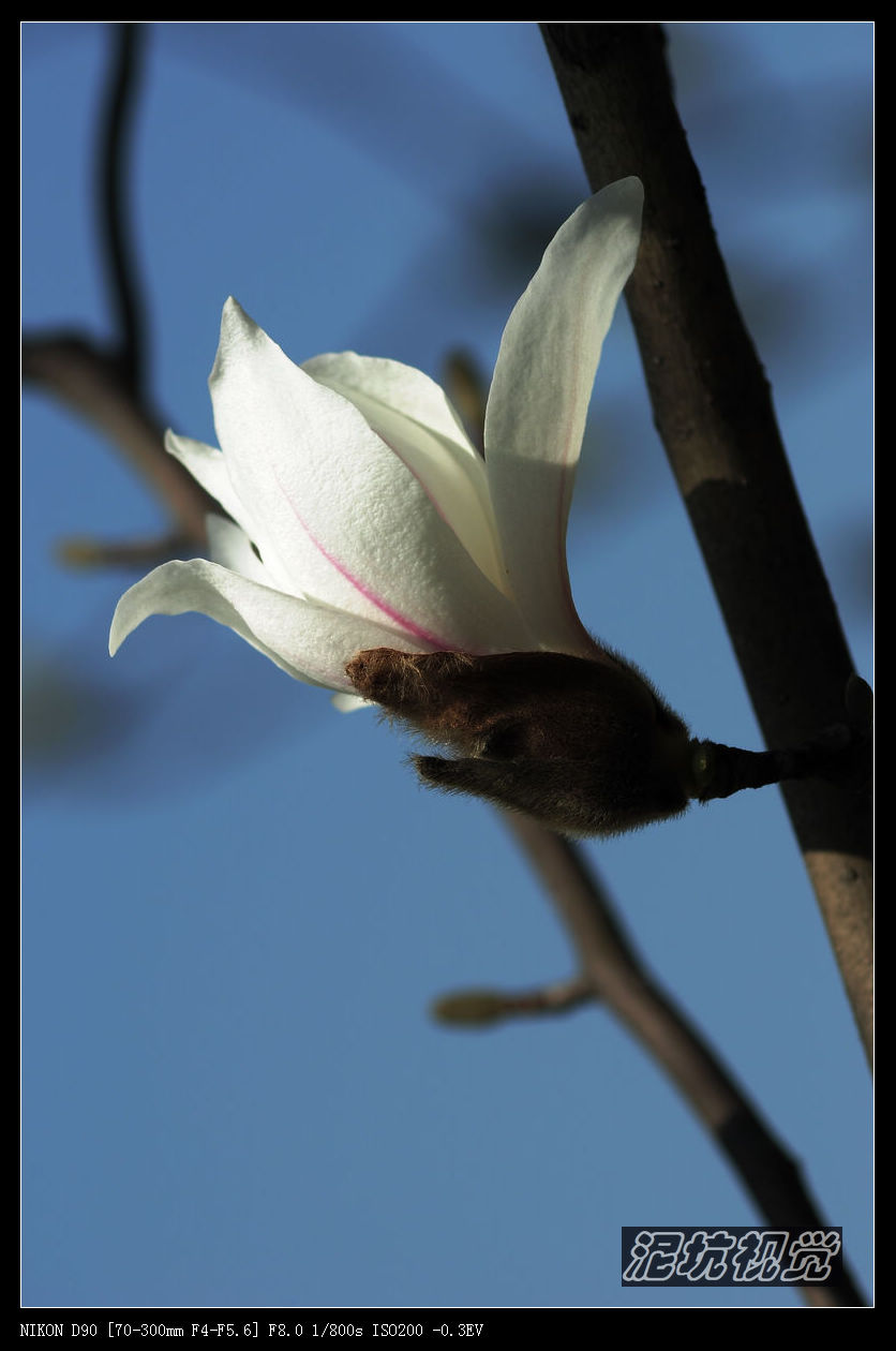 DSC_0053.jpg