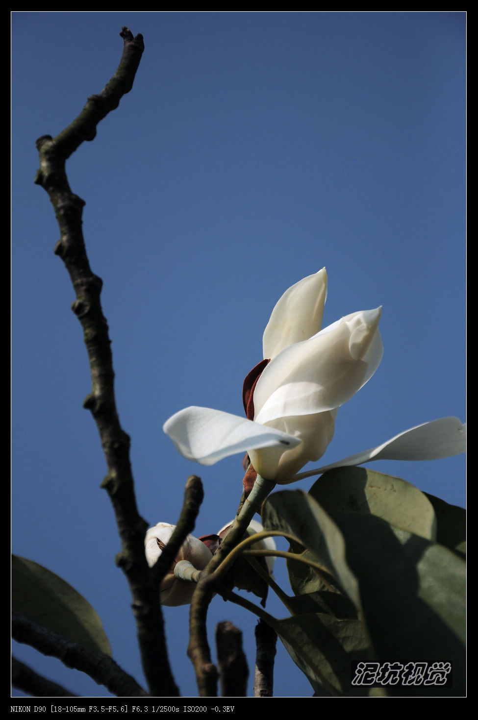 DSC_0084.jpg