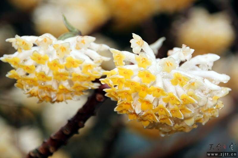 照片 019_副本.jpg