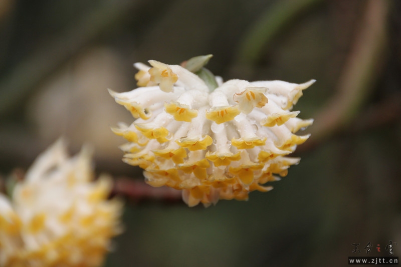 照片 020_副本.jpg