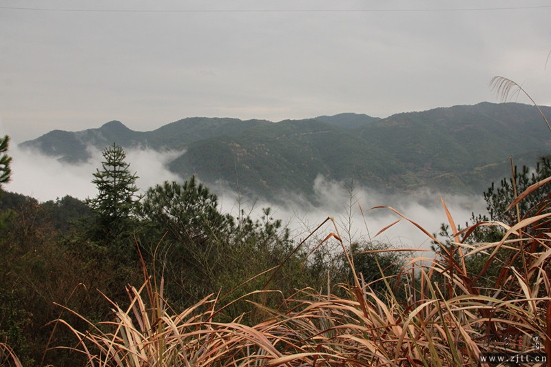 照片 022_副本.jpg