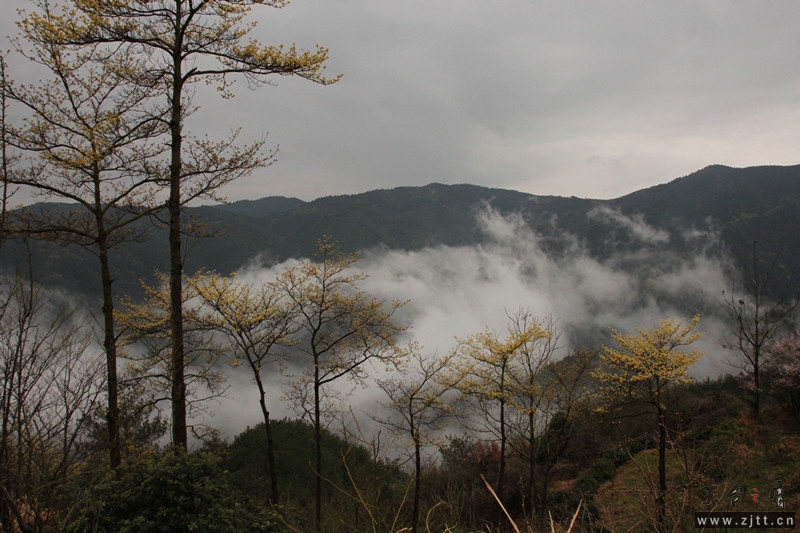 照片 024_副本.jpg