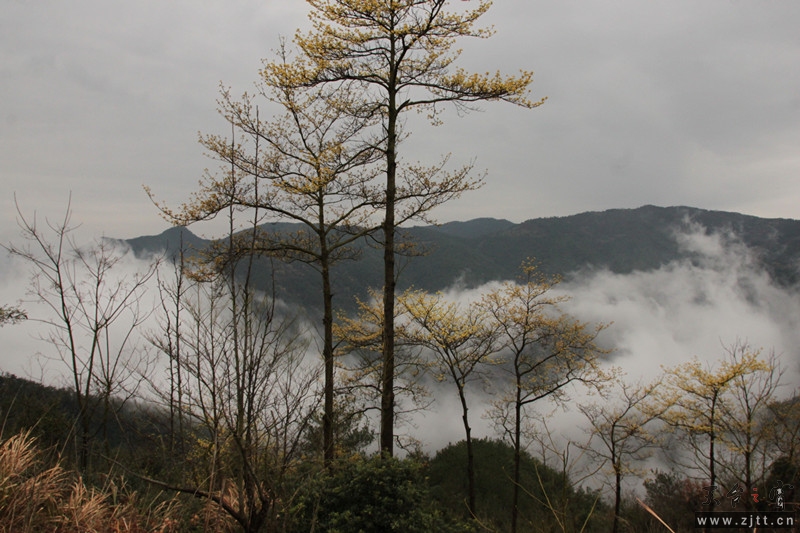 照片 025_副本.jpg