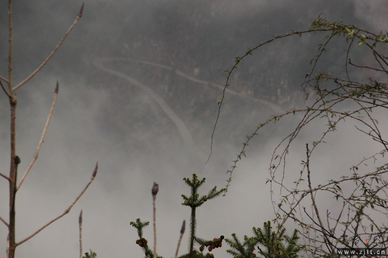 照片 027_副本.jpg