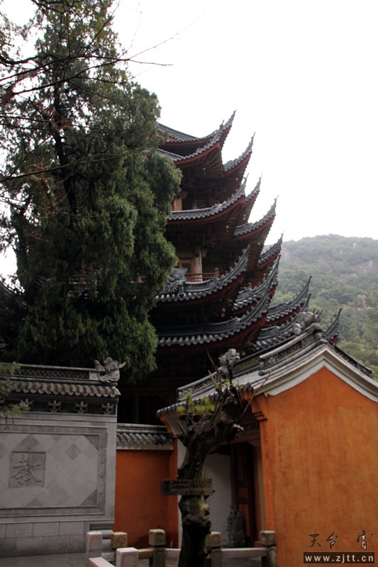 照片 036_副本.jpg