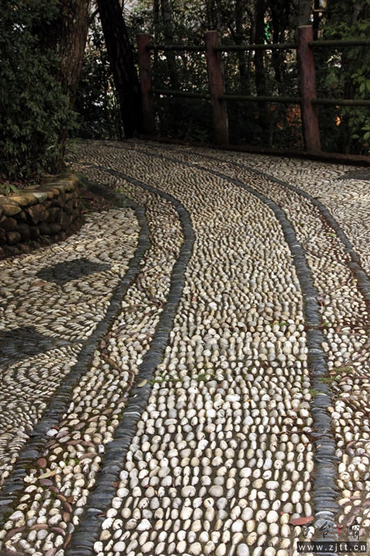 照片 076_副本.jpg