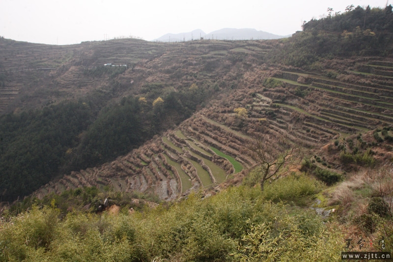 照片 082_副本.jpg