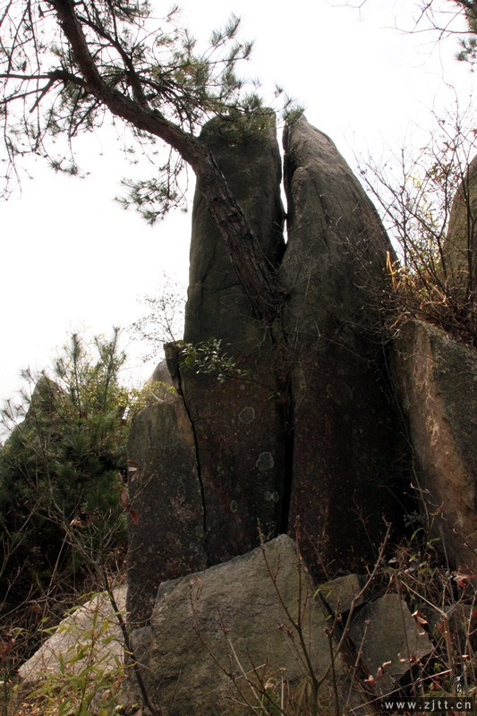 照片 083_副本.jpg