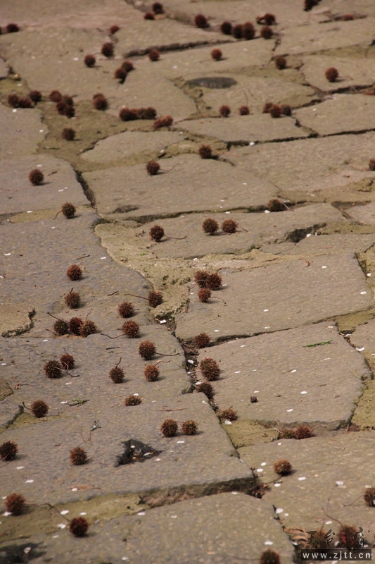 照片 099_副本.jpg