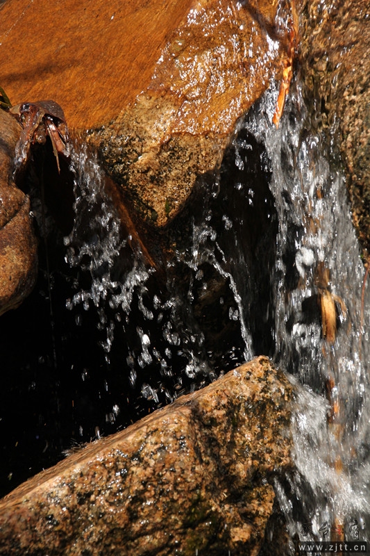 照片 278_副本.jpg