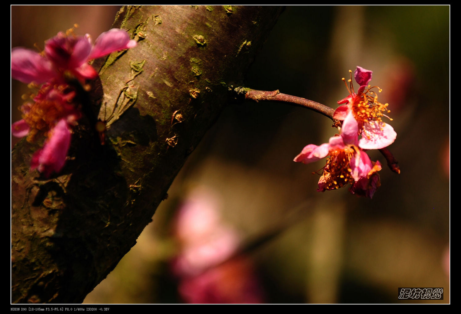 DSC_0026.jpg