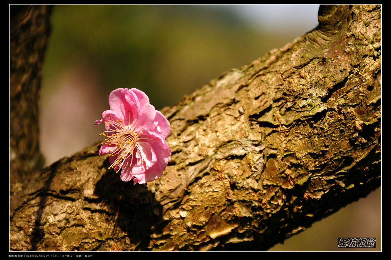 DSC_0022.jpg