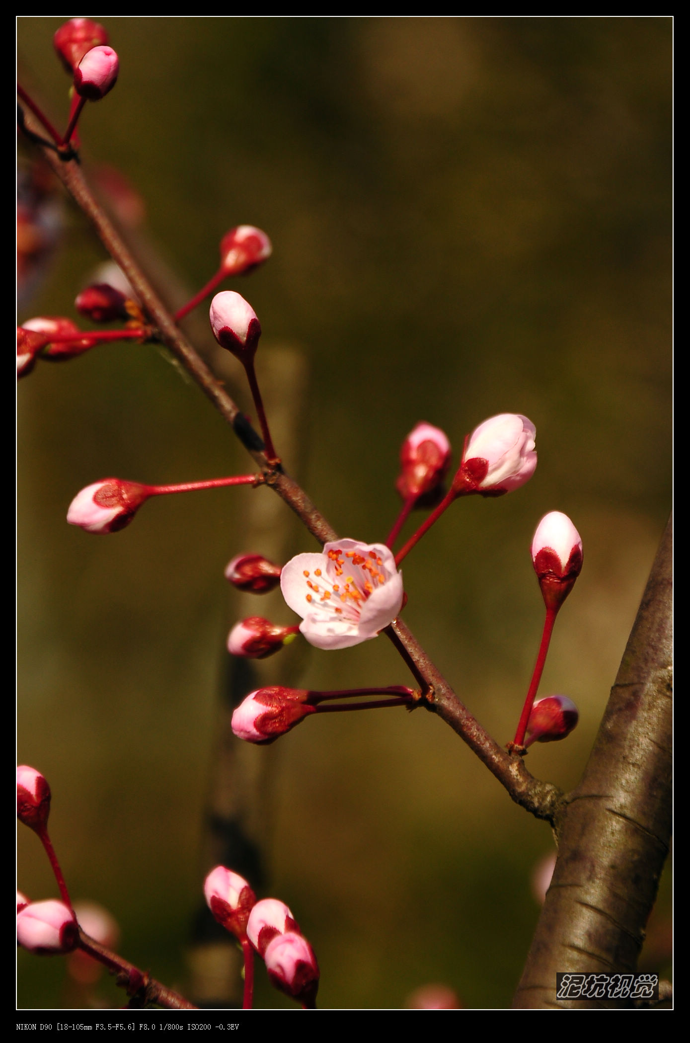 DSC_0007.jpg