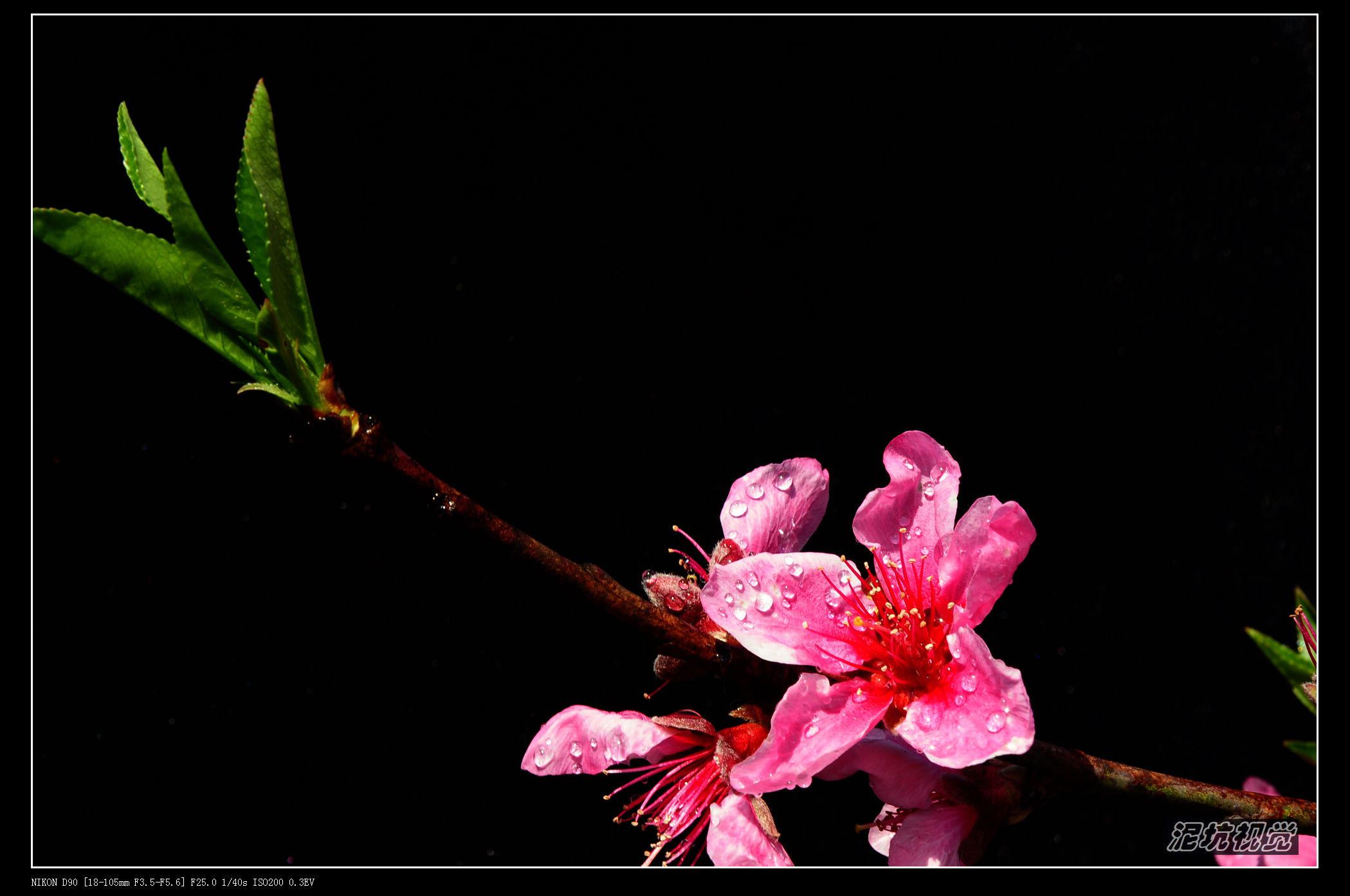 DSC_0058.jpg
