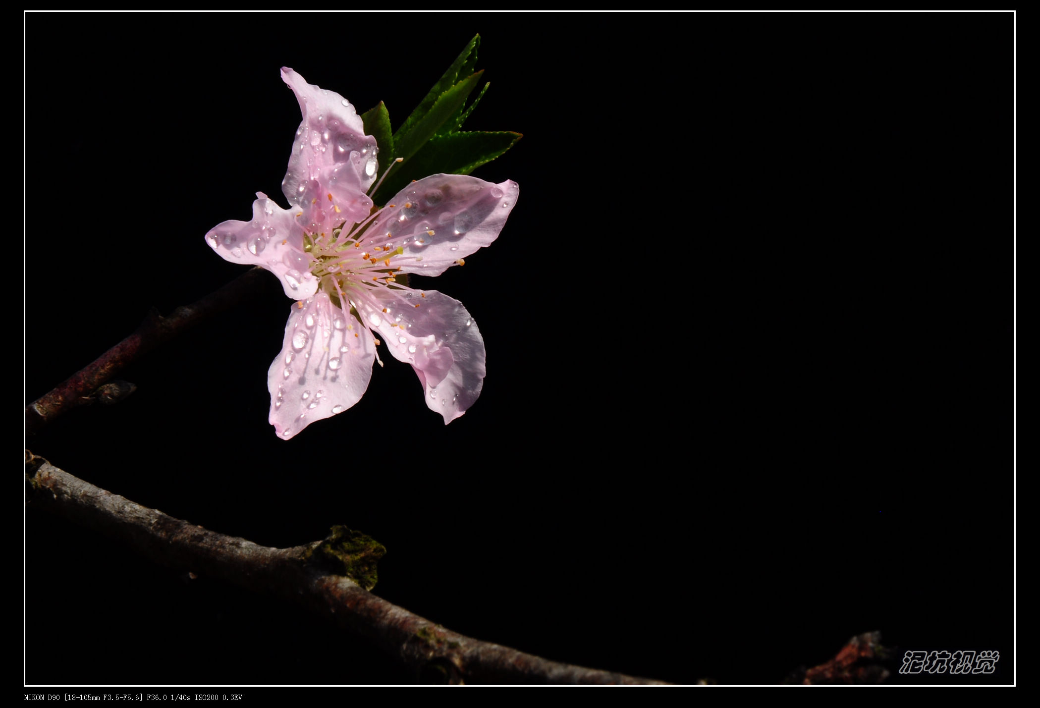 DSC_0060.jpg