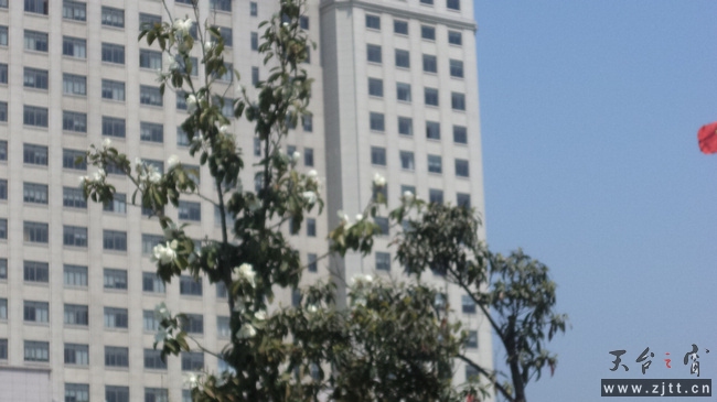 nEO_IMG_DSC00878.jpg