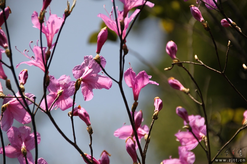 照片 078_副本.jpg