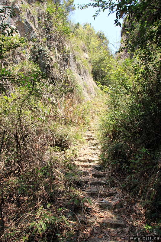 照片 103_副本.jpg