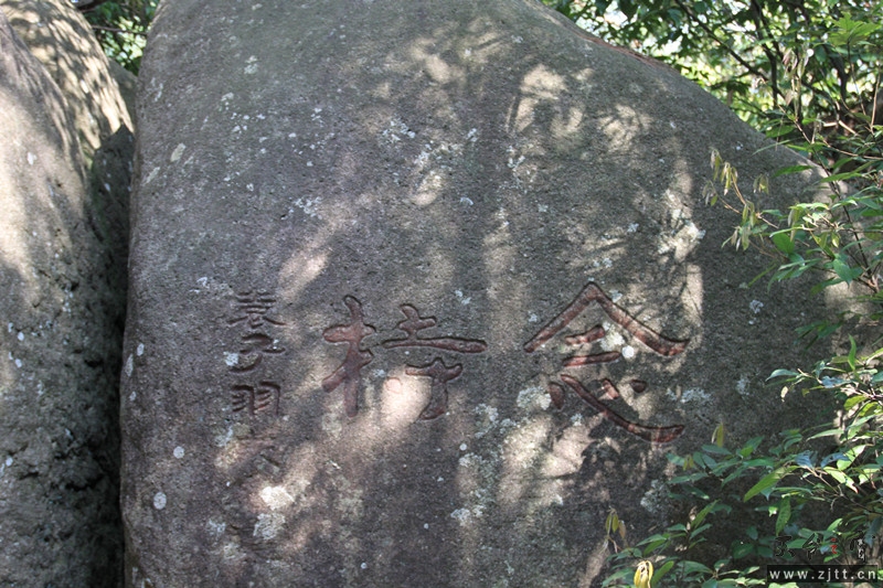 照片 139_副本.jpg