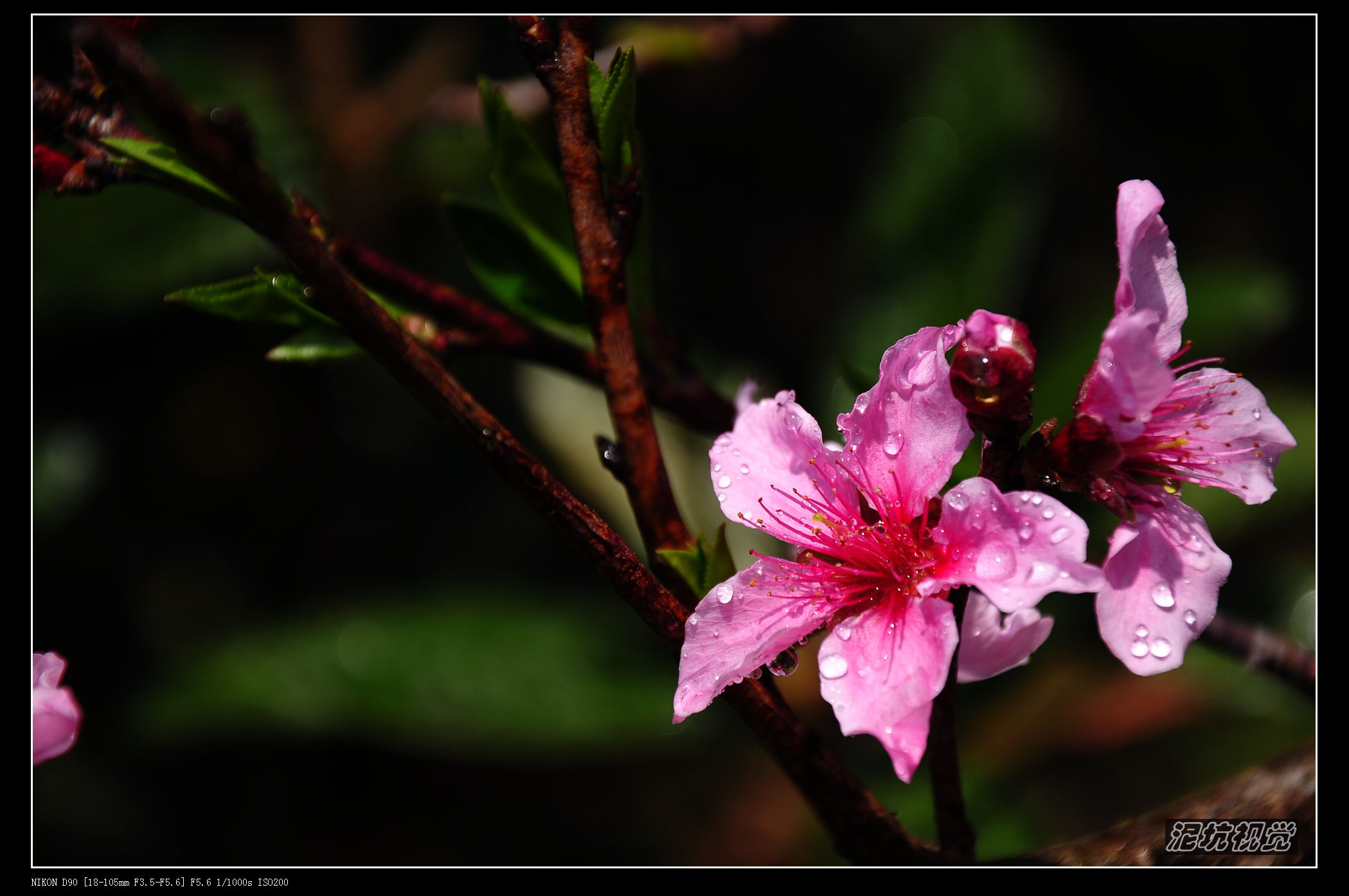DSC_0150.jpg