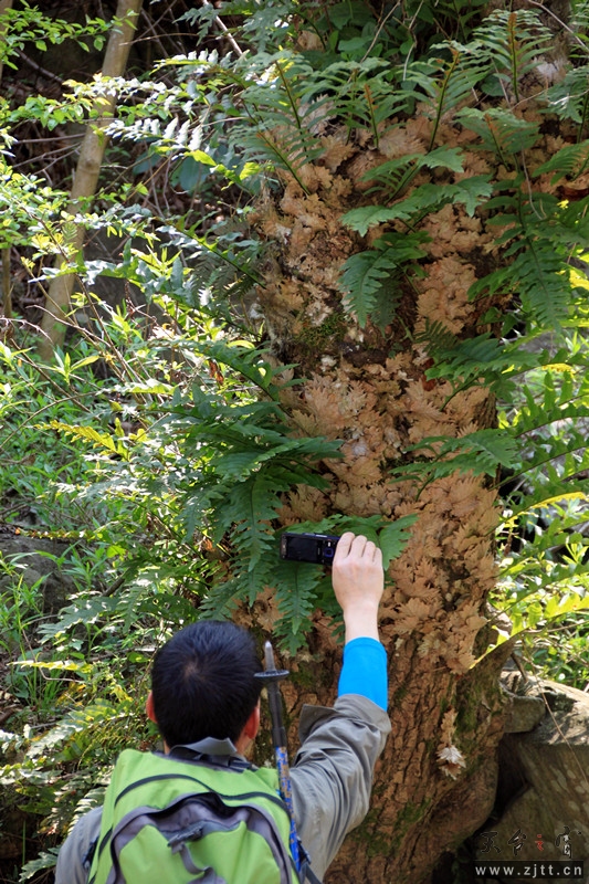 照片 039_副本.jpg