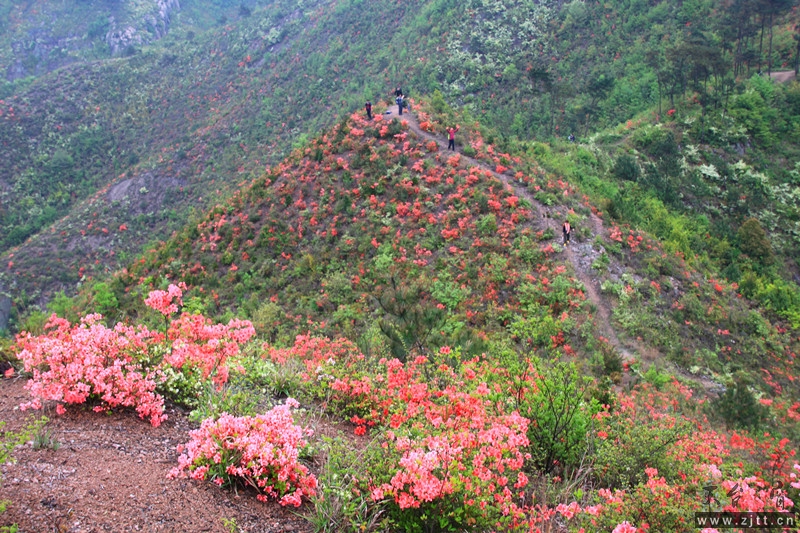 照片 563_副本.jpg