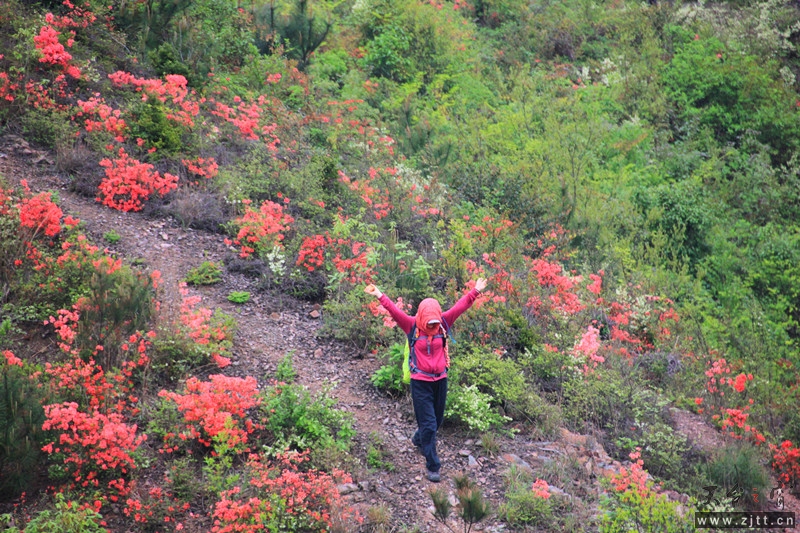 照片 564_副本.jpg