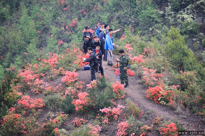 照片 567_副本.jpg