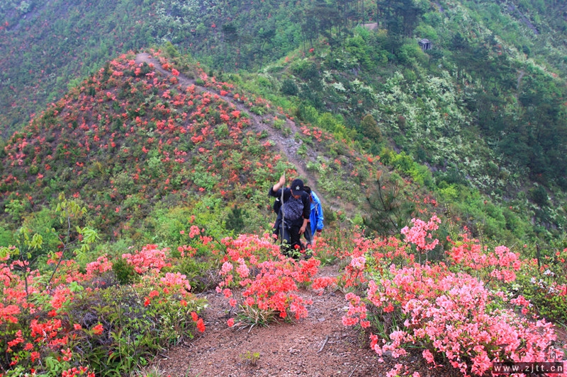 照片 573_副本.jpg