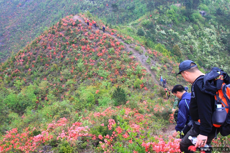 照片 622_副本.jpg