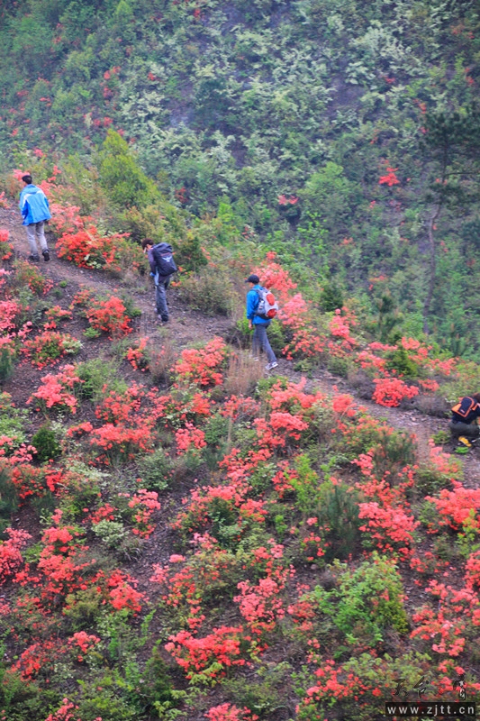 照片 623_副本.jpg