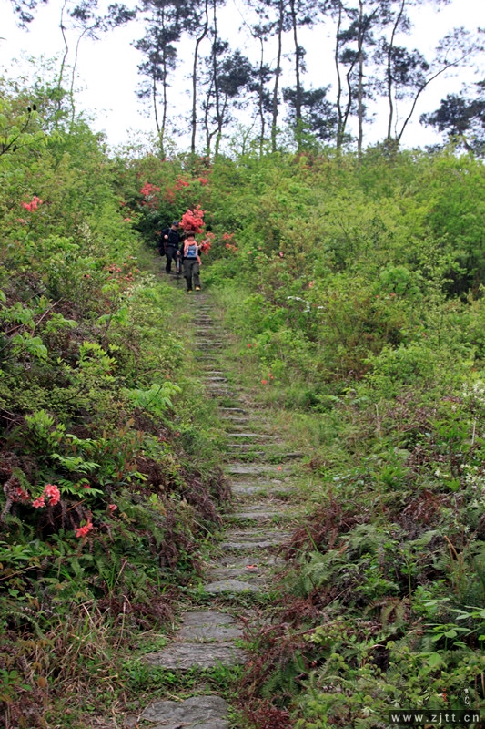 照片 626_副本.jpg